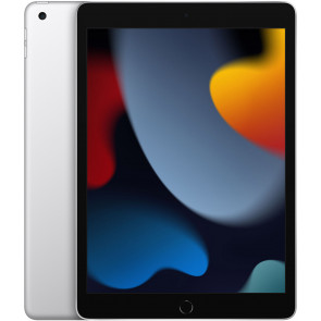 Apple 10,2" iPad WiFi 256 GB, silber (2021)